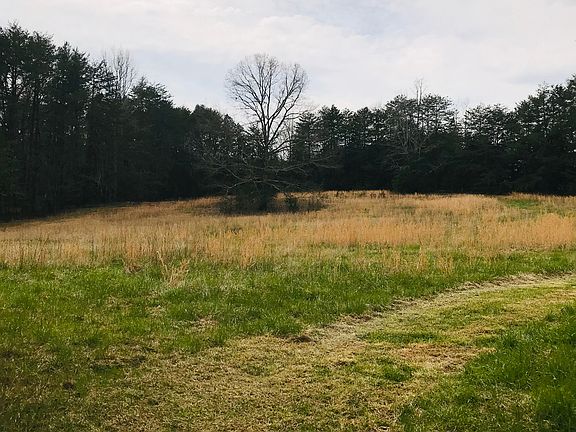 Part of the back pasture