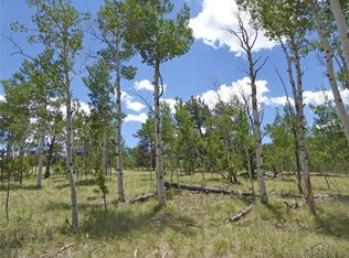 10157 Ranch Rd, Hartsel, CO 80449