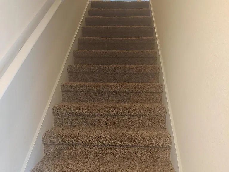 340 Servia Dr — Photo 18