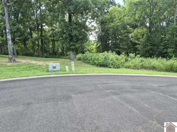 Robyn Dr, Benton, KY 42025
