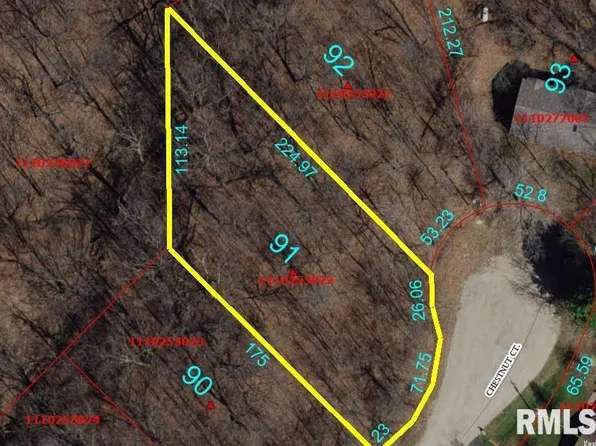 91 Chestnut Ct, Dahinda, IL 61428