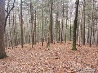 9 Brookwood Rd, Asheville, NC 28804