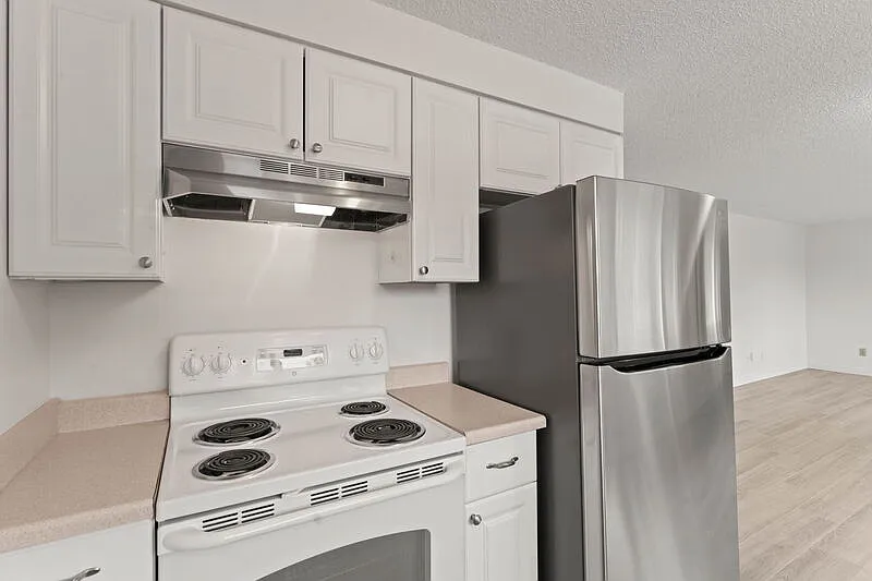 2 bed, 1.0 bath, 830 sqft, $1,250 — Photo 2
