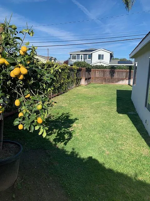 3 bed, 1000 sqft, $4,200 — Photo 3