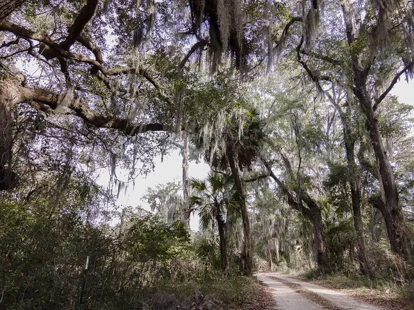 8380 Herbert Smalls Rd, Edisto Island, SC 29438