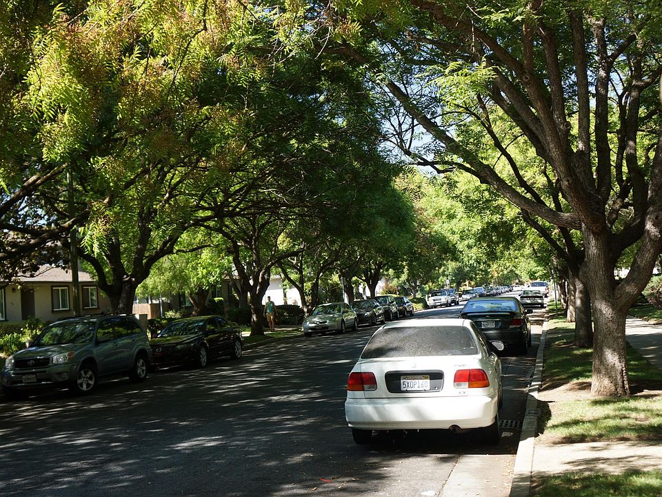 Street