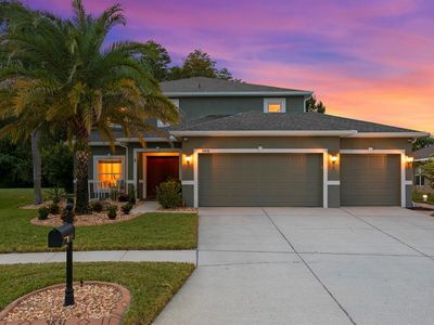 5831 Justicia Loop, Land O Lakes, FL, 34639