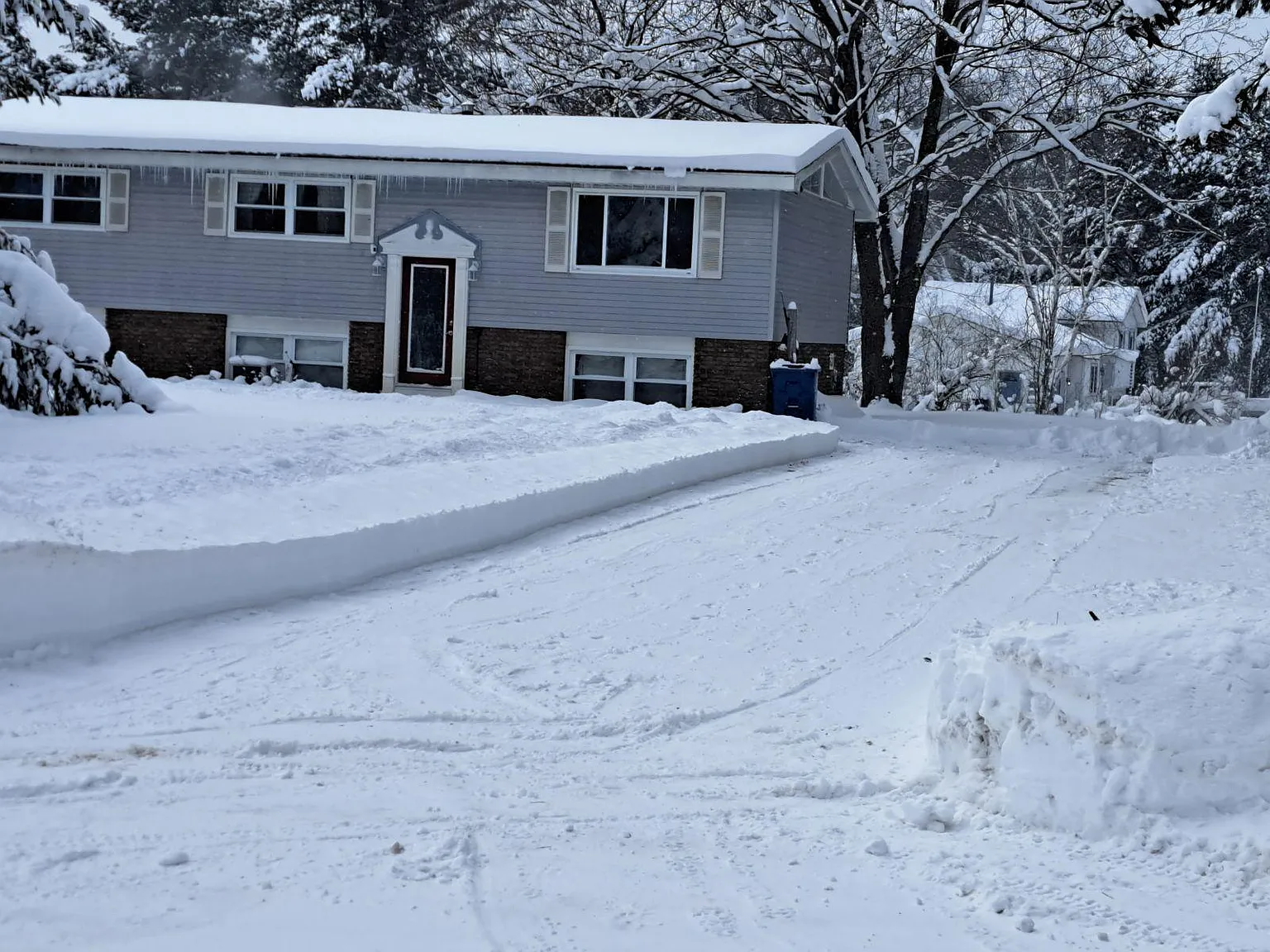 8982 Red Pine Dr — Photo 2