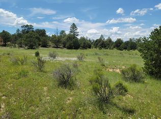 0 Buckskin Trl #I, Pie Town, NM 87827