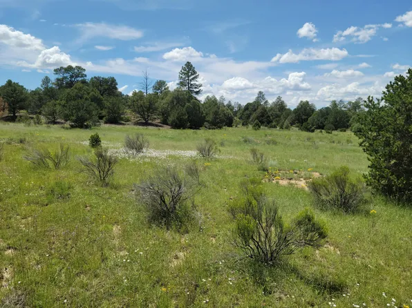 0 Buckskin Trl #I, Pie Town, NM 87827