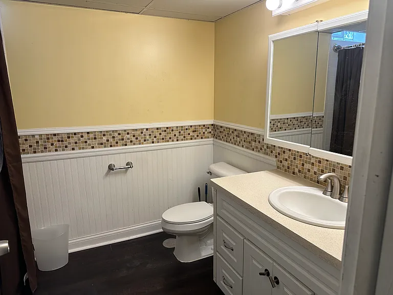Lower Level Bathroom