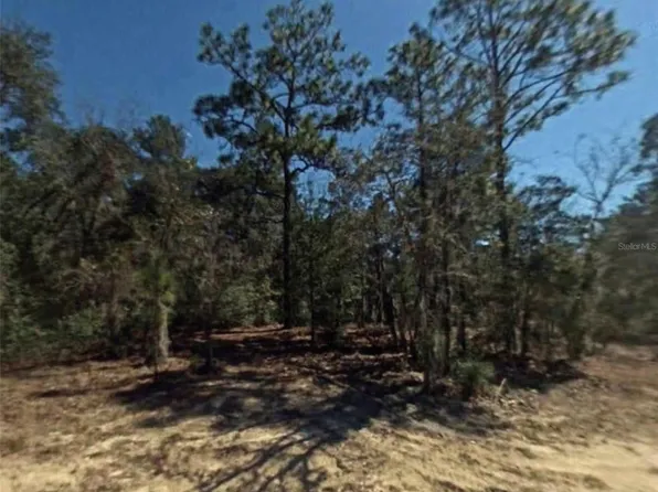 2809 OAKRIDGE STREET LOT 5, INVERNESS, FL 34452