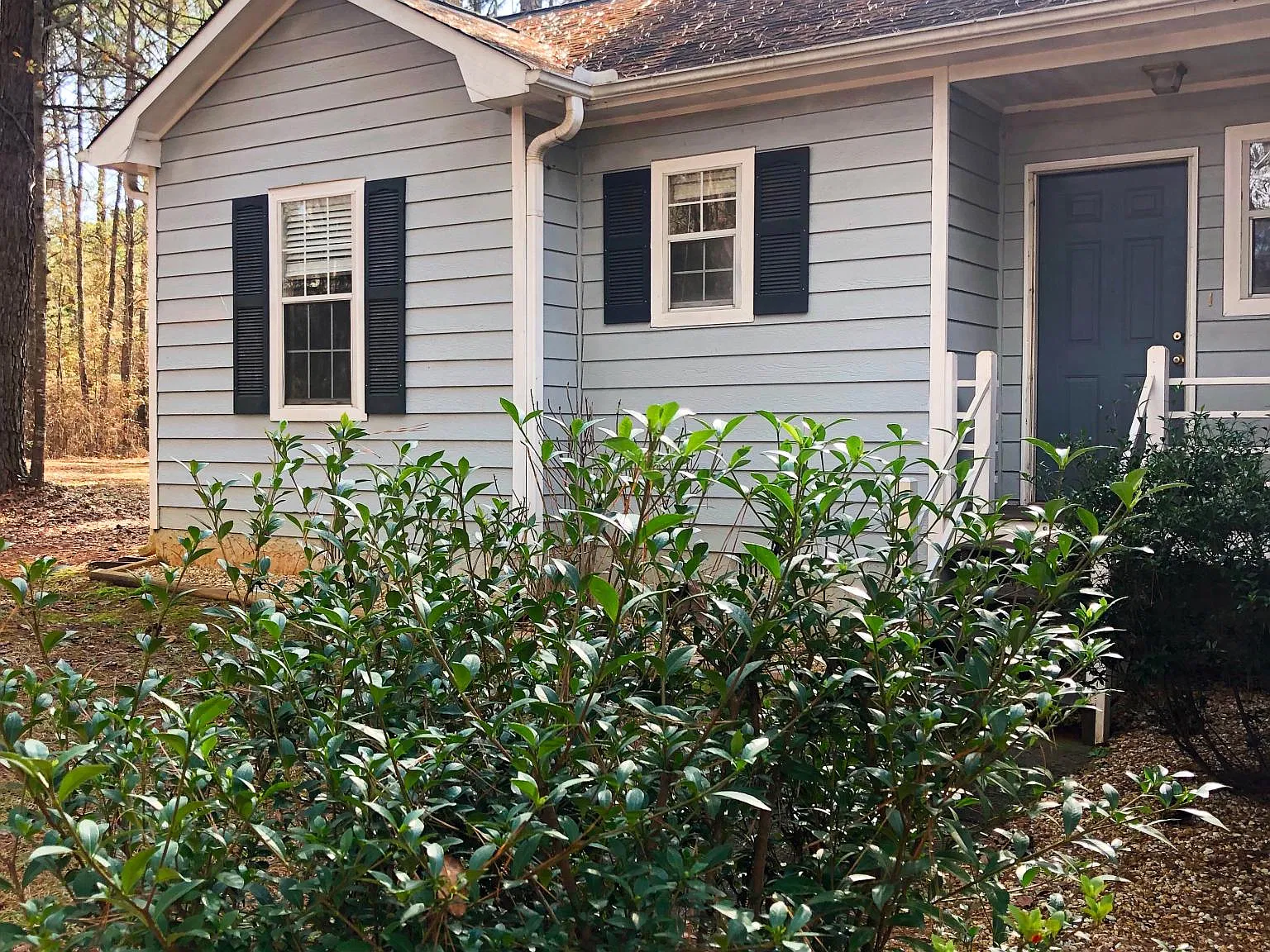 3 bed, 1266 sqft, $2,000 — Photo 2