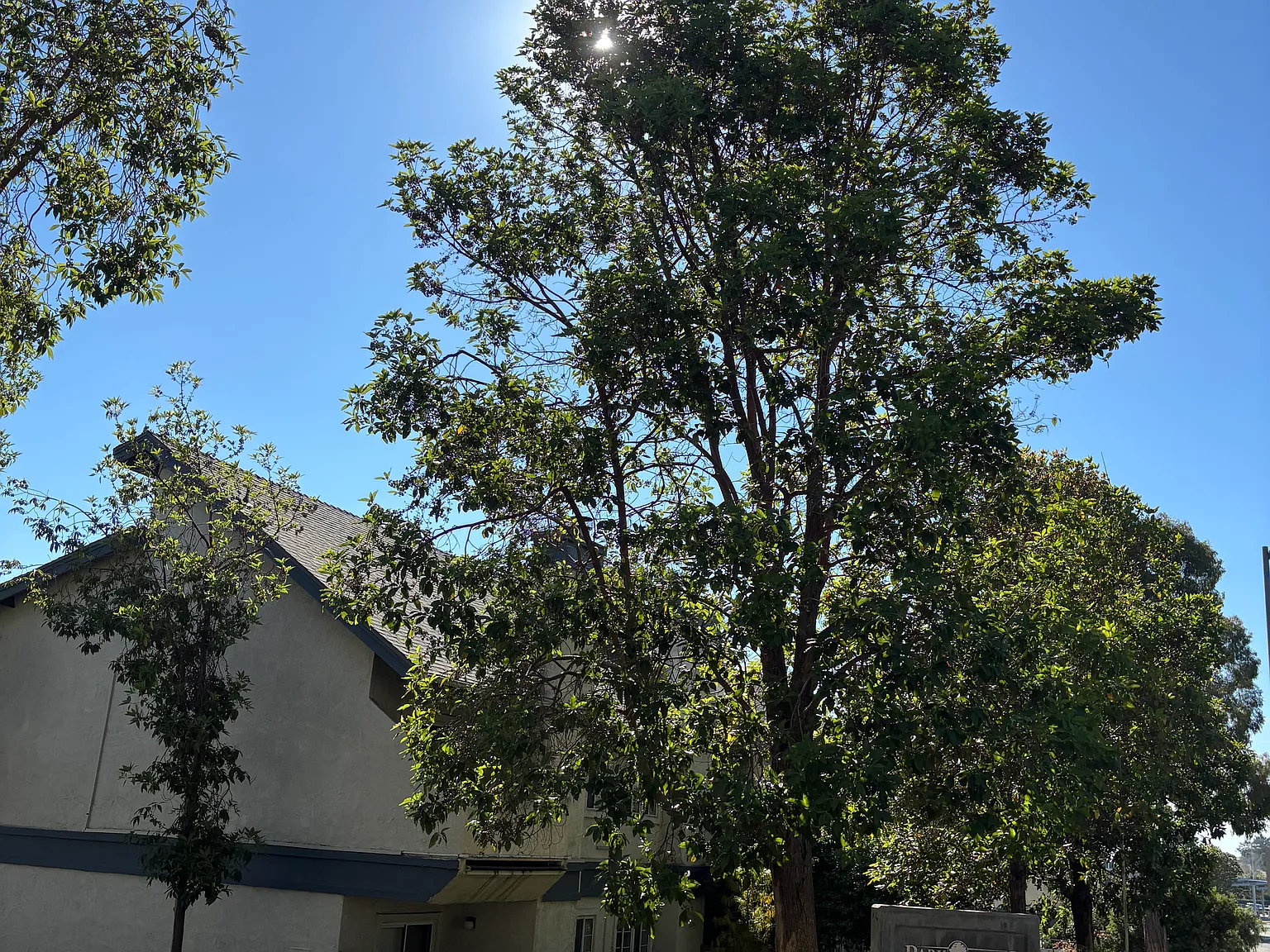 1 bed, $1,950 — Photo 1