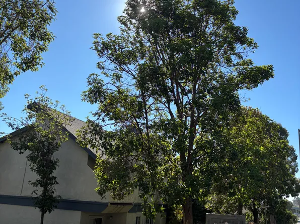 1045 Southbrook Dr #F, San Luis Obispo, CA 93401
