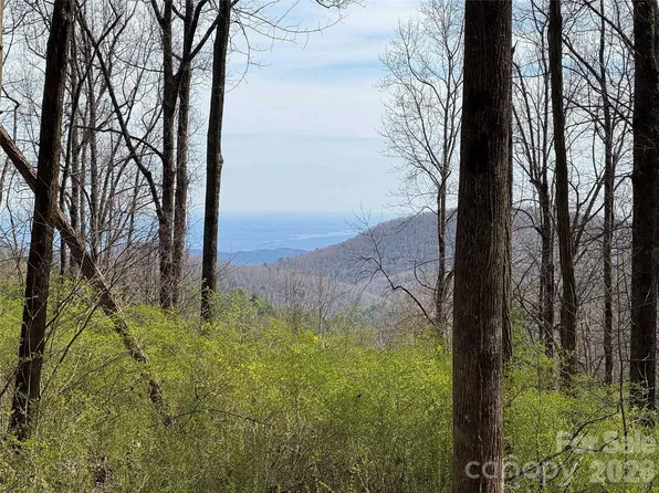L8 S Black Bear Ct, Sapphire, NC 28774