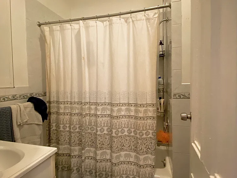 417 W 46th St #1 — Photo 11