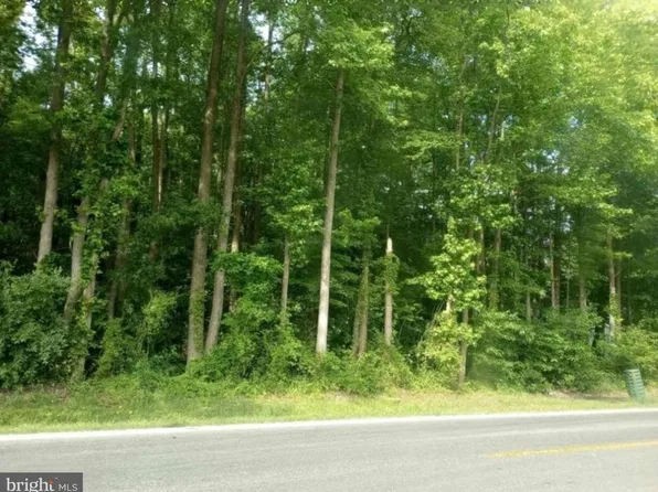 12374 Galena Rd, Massey, MD 21650