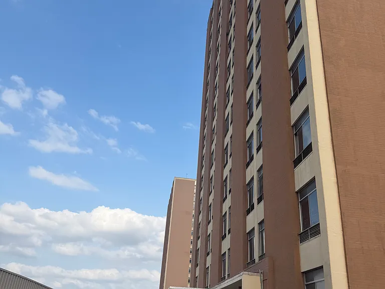 7520 Hornwood Dr #1605 — Photo 11