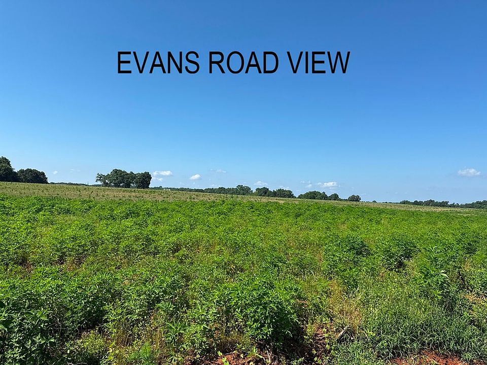 Evans Road View1