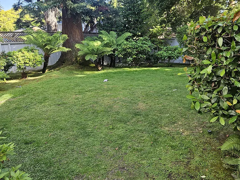 Private small redwood park in the common area