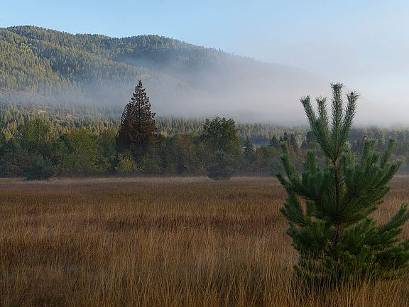 2nd image of 2 Turnipseed Creek Acre