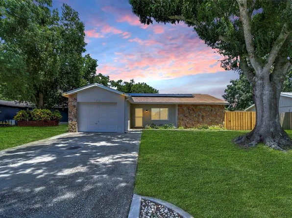 11505 Blackbark Dr, Riverview, FL 33579