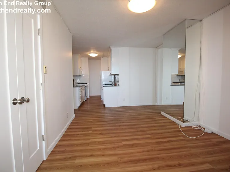 65 E India Row #35C — Photo 9