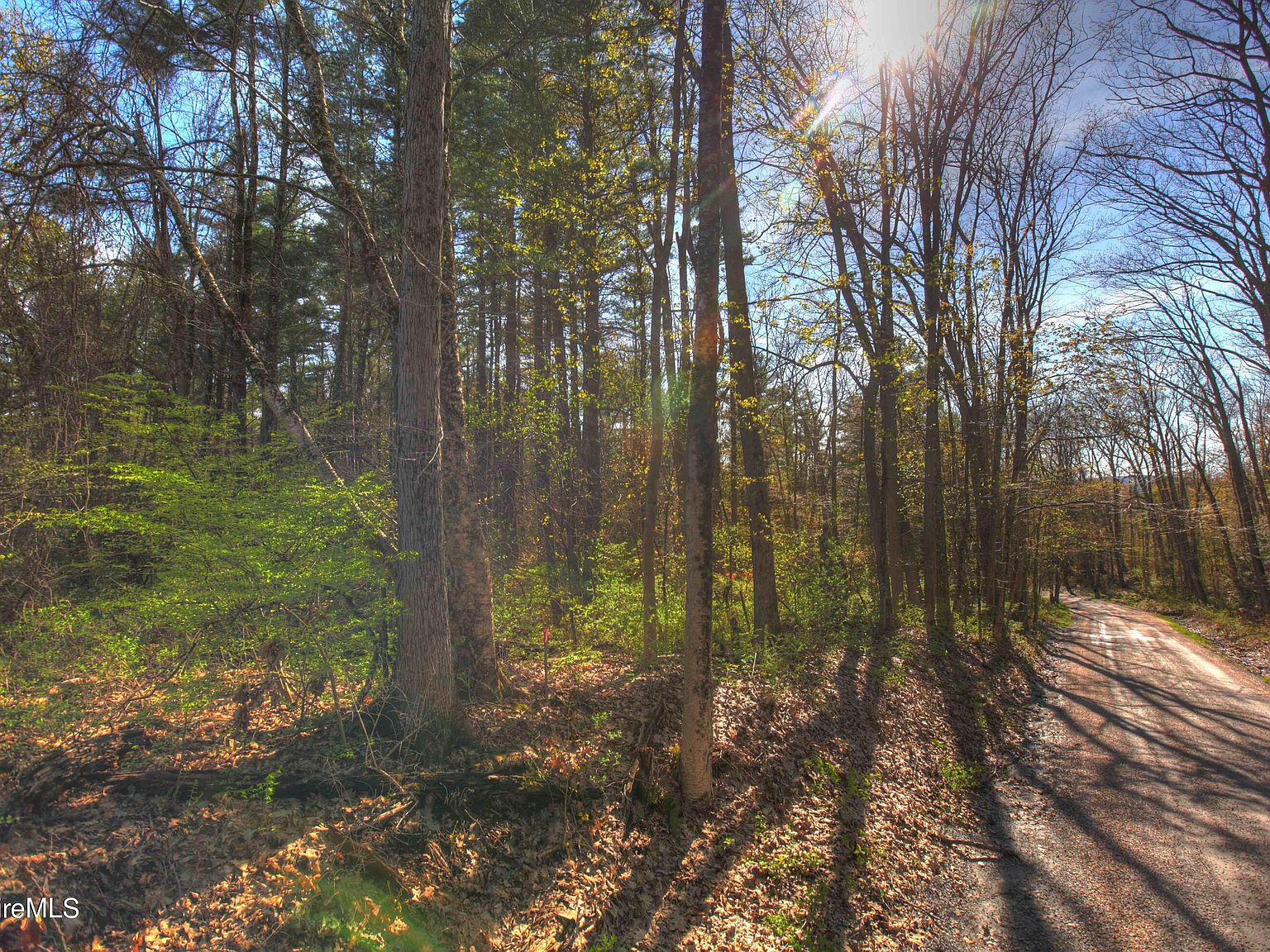 13 Rattlesnake Mountain Rd, Stockbridge, MA 01262 Zillow