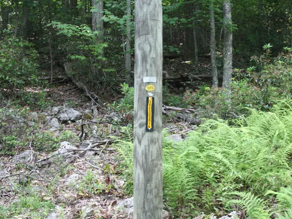 High Valley Dr S, Monterey, VA 24465