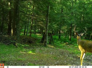 N Pine Rd, Sobieski, WI 54171