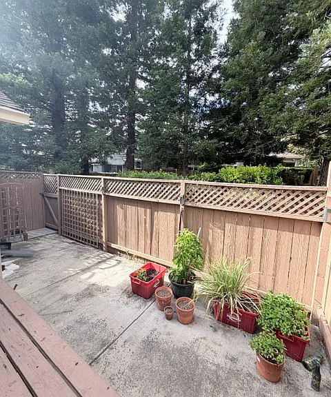 Private backyard with great privacy