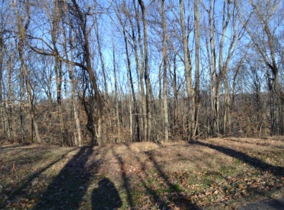 2nd image of 0 Cabin Hill Rd