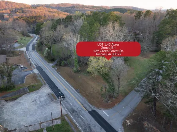 129 Green Forest Dr, Toccoa, GA 30577