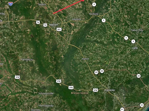 164 Barfield Rd Lot Wp001, Nichols, SC 29581