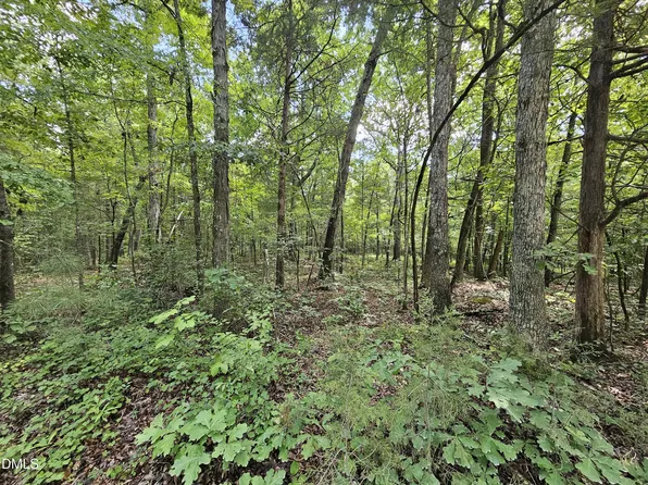 625 Harts Creek Dr Lot 10, Pittsboro, NC 27312