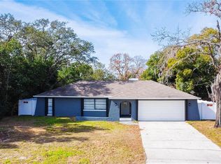 4435 Lamson Ave, Spring Hill, FL 34608