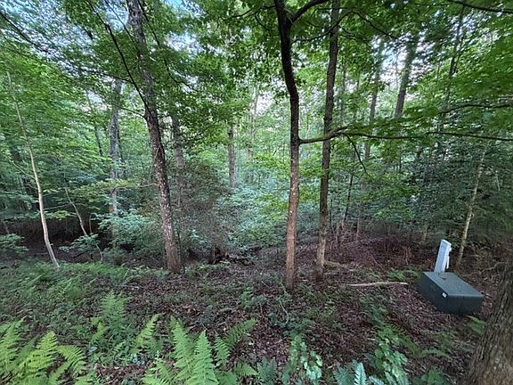 3rd image of 59 Quiet Mountain Trl