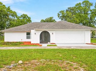 1118 Trinidad Ave, Spring Hill, FL 34609
