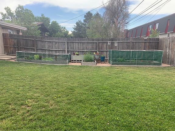Backyard and garden area.