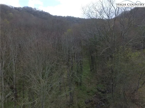 TBD/Lot 1 Trillium Creek Run, Newland, NC 28657