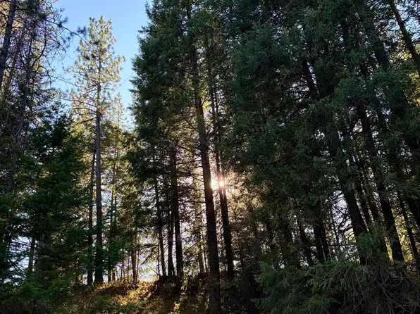 7611 Scotia Rd, Newport, WA 99156