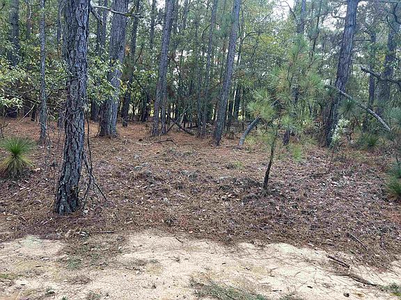 2nd image of 536 Bald Eagle Dr #5147
