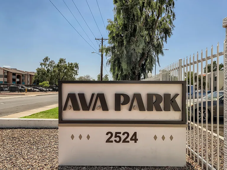 Ava Park — Photo 19