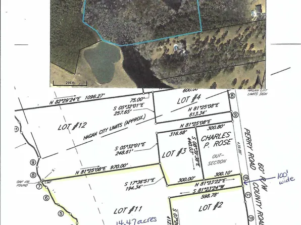 5141 Perry Rd, Claxton, GA 30417