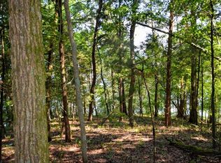 LOT 76 Chickamauga Point LOT 76, Ten Mile, TN 37880