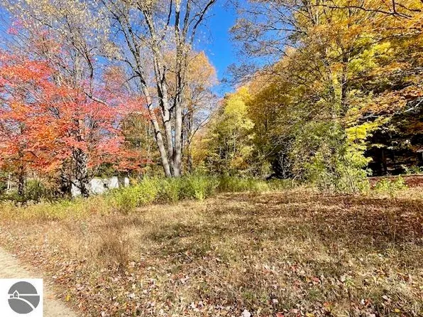 0 Coho Dr, Beulah, MI 49617