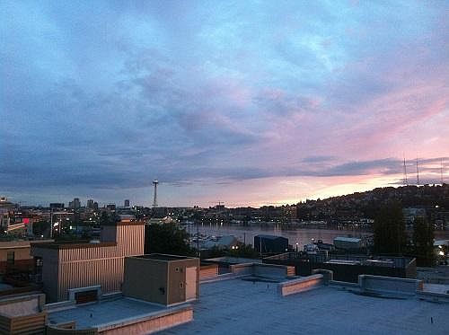 View