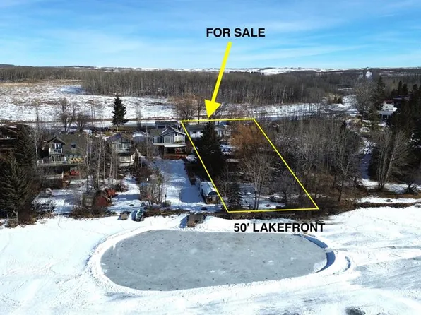 101 S 24508 Township Rd #361, Red Deer County, AB T0M 1R0