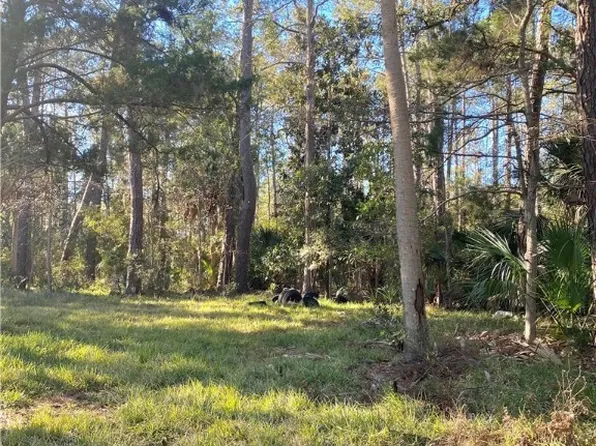 41 Moon River Drive, Savannah, GA 31406